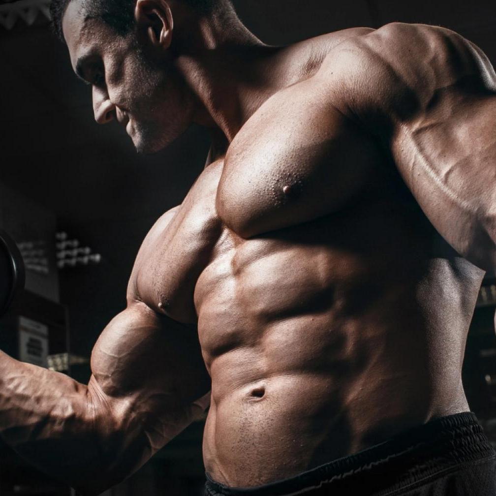 Pharmaqolabus Pharmaqolabus