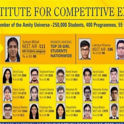 Amity Institute