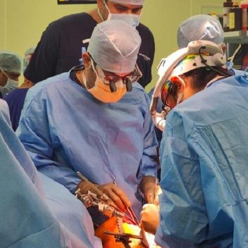 Dr Ashish  Dolas