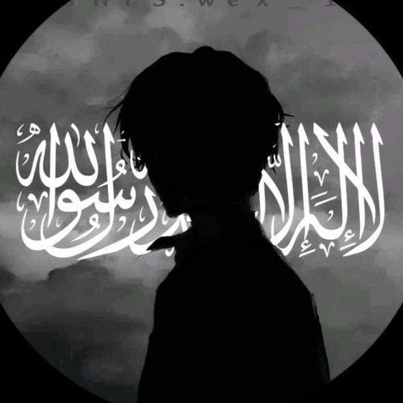 Shams Haider
