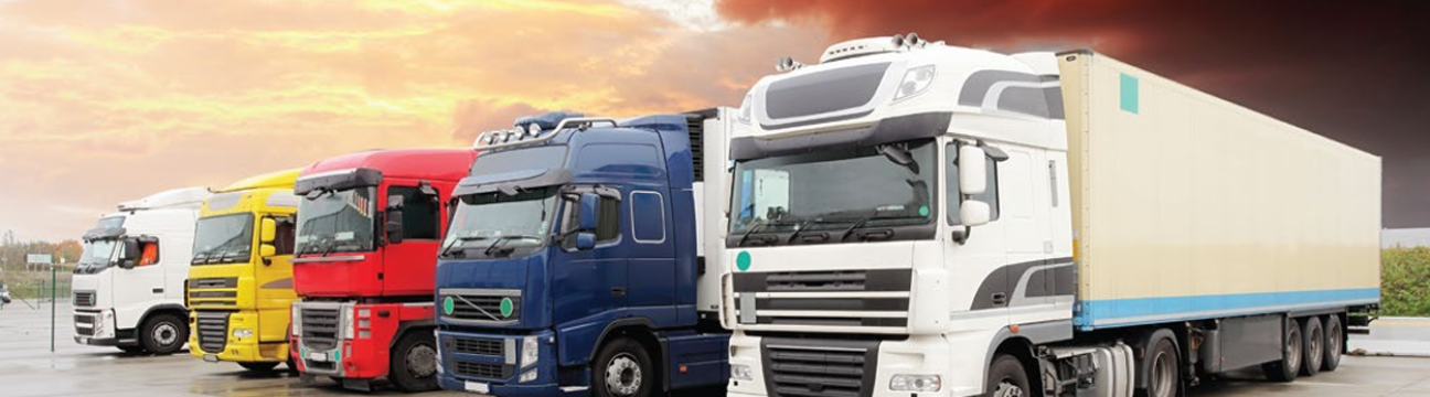MPRS Group of Companies