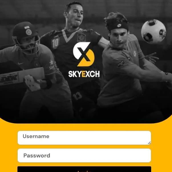 Sky Exchangee