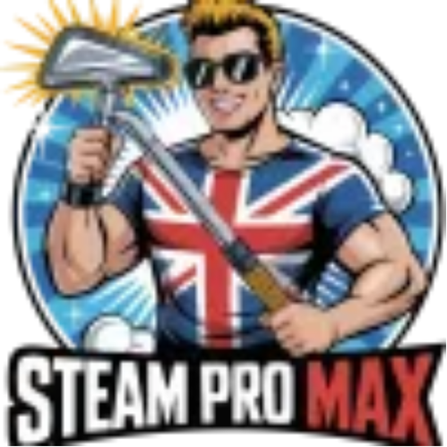 SteamPro MaxCarpet
