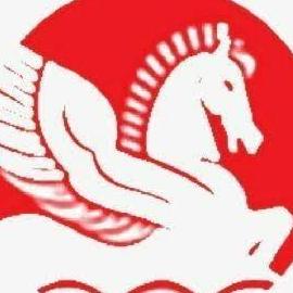 Singhal Industries